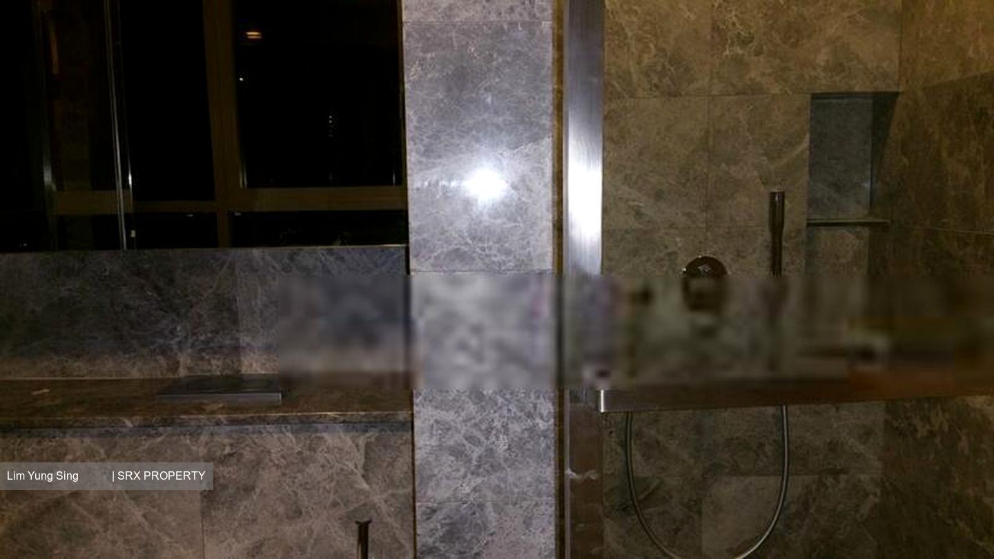 Skyline Residences (D4), Condominium #408381551